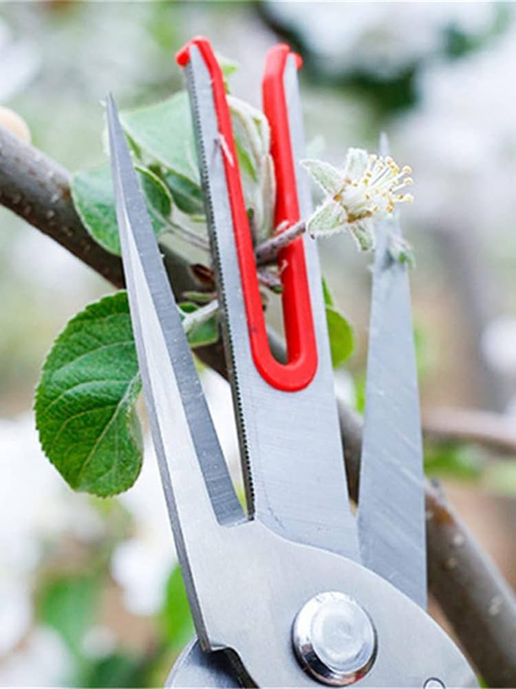 有次 花鋏 選定鋏 庭木 果実 盆栽 園芸 はさみ 有次 花鋏 選定鋏 庭木 果実 盆栽 園芸 はさみ Amazon | 剪定鋏